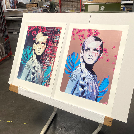 The Face 1.5 - Twiggy by Brad Novak