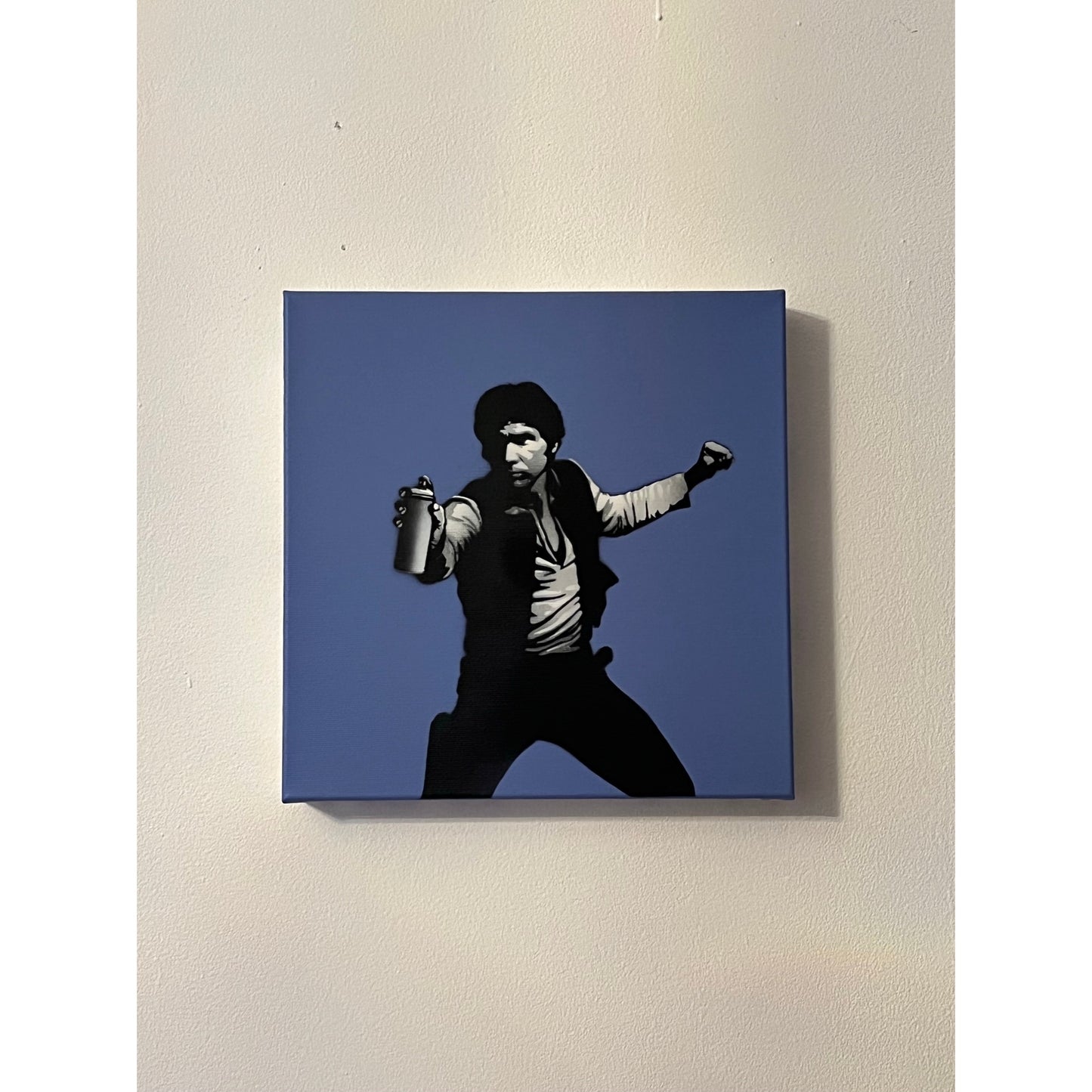 Can Solo - Canvas (kongeblå) 1/1