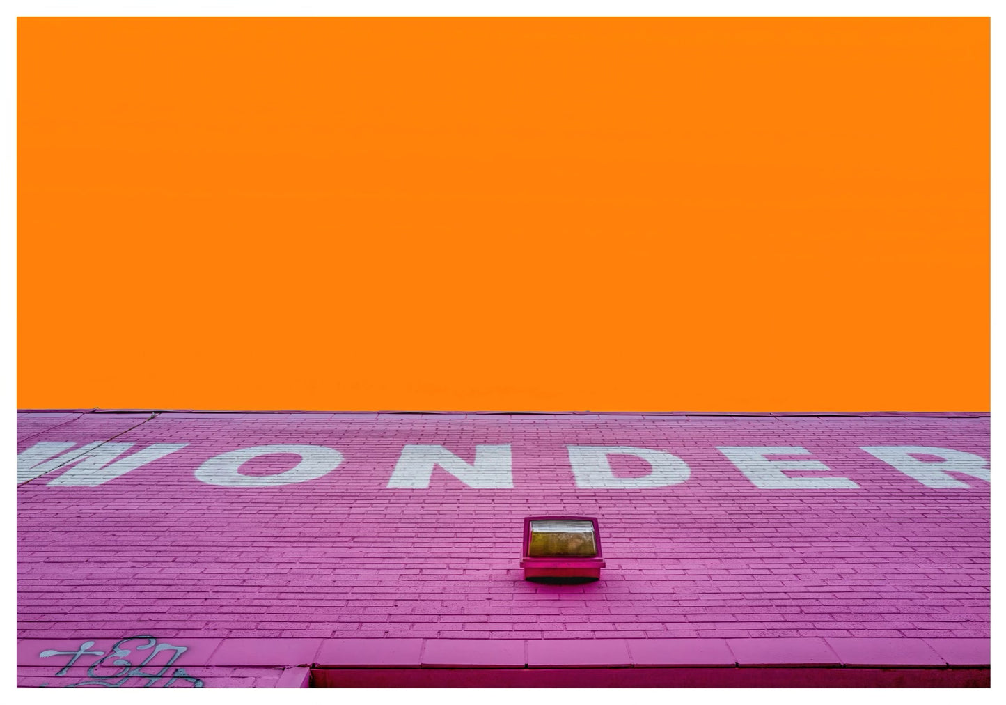 Wonder