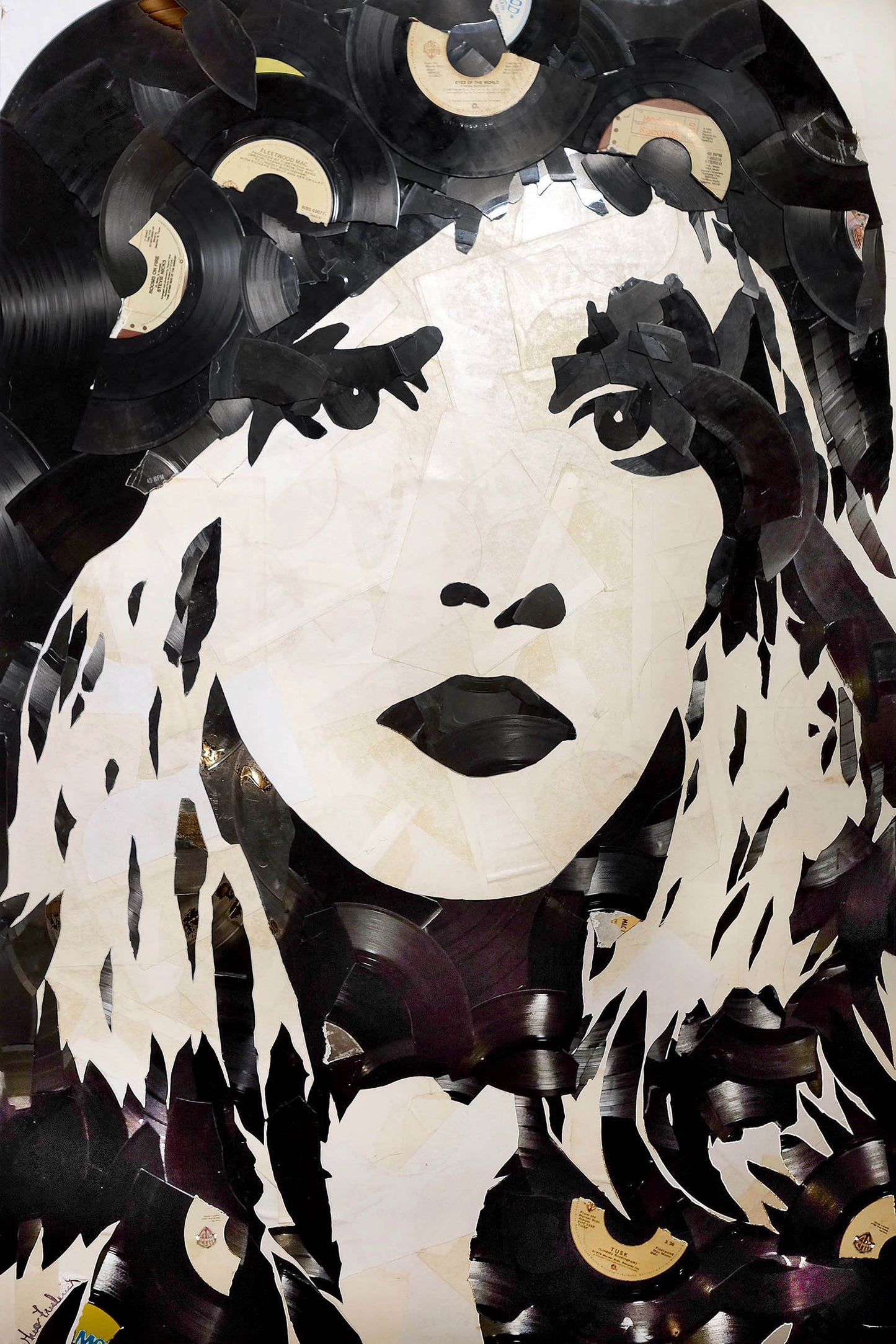 Stevie Nicks