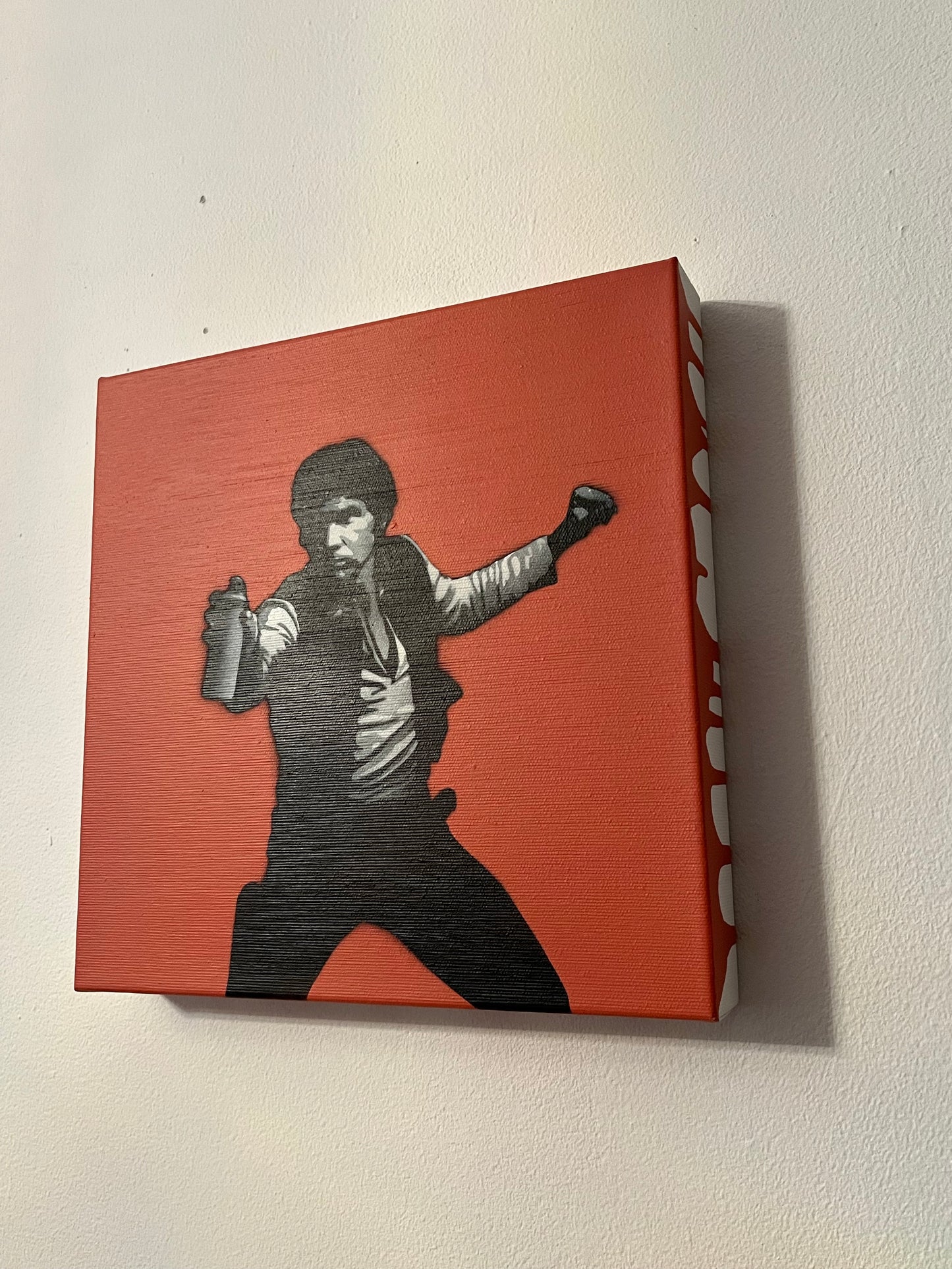 Can Solo - Canvas (Brent oransje) 1/1