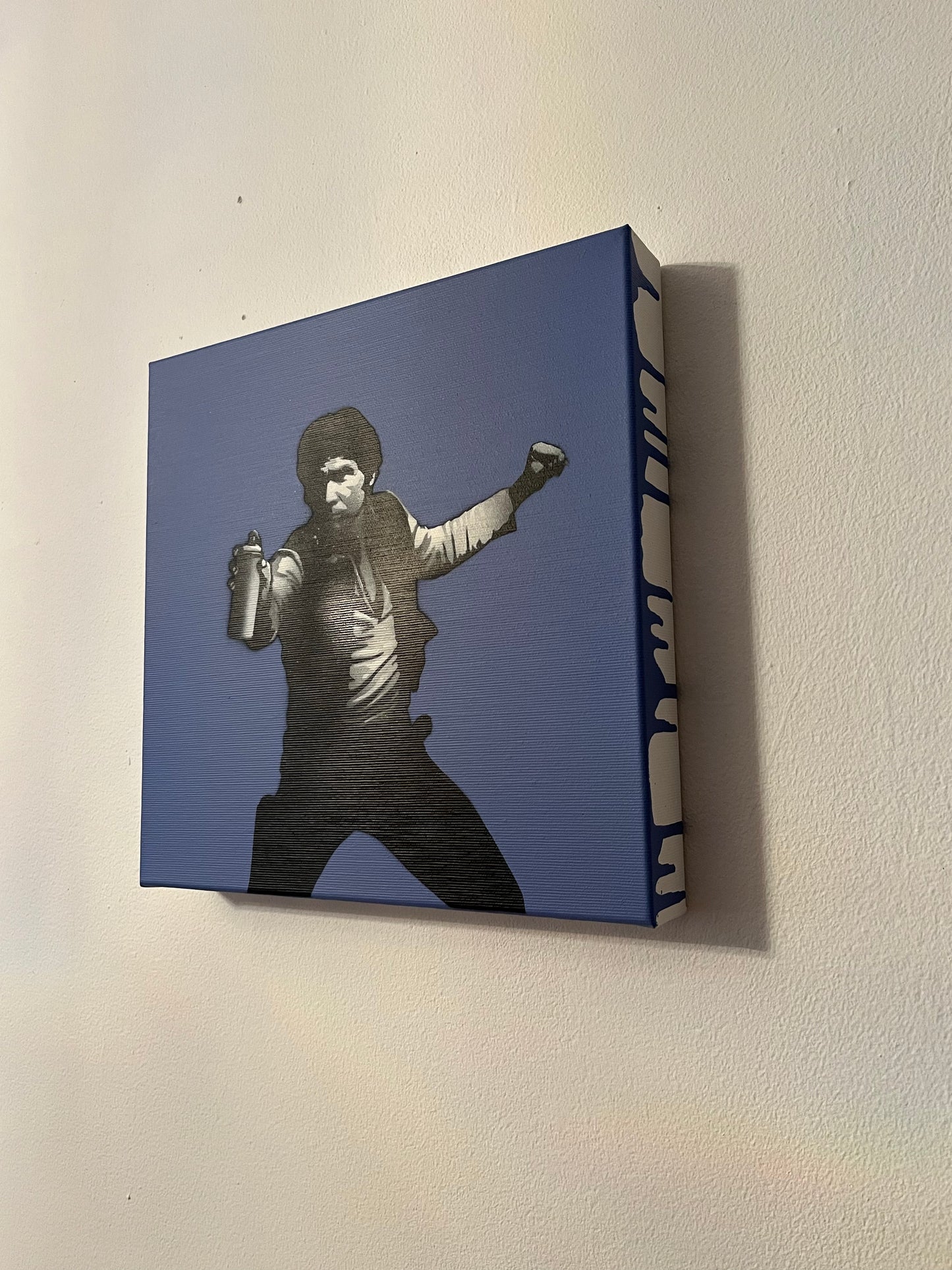 Can Solo - Canvas (kongeblå) 1/1