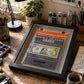 Alice - Concealment of Assets "Framed Bank Note"